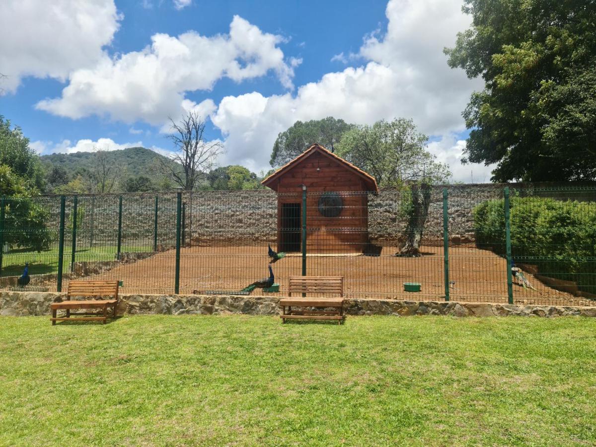הואסקה דה אוקמפו Finca Los Angeles Hospederia & Sociales מראה חיצוני תמונה