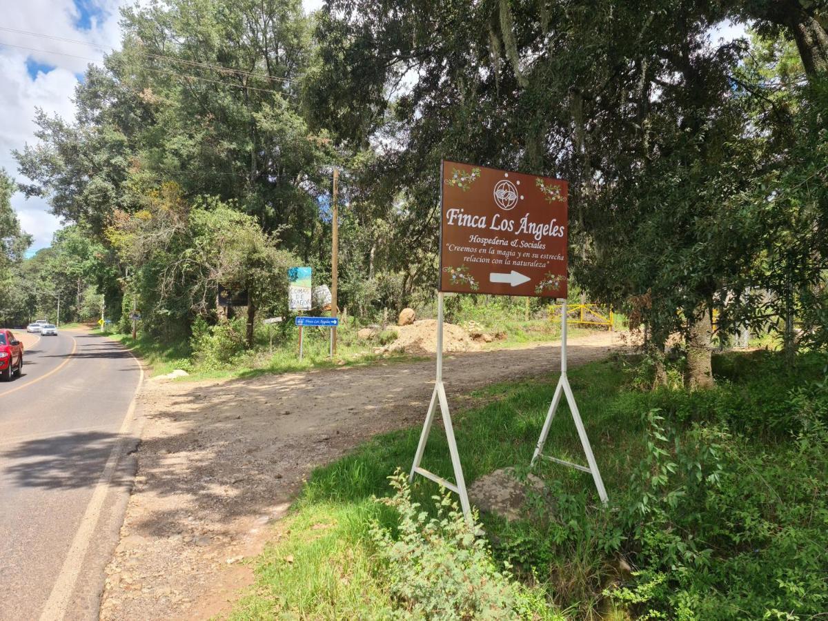 הואסקה דה אוקמפו Finca Los Angeles Hospederia & Sociales מראה חיצוני תמונה